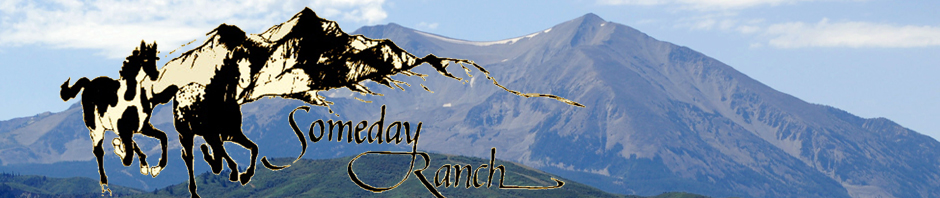 Someday Ranch Colorado Logo